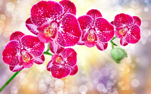 1022663 (a): :2880x1800